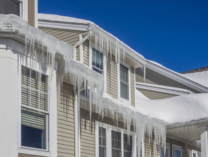 Ice Dam Removal in Bellevue, WA